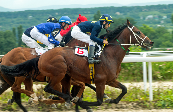 Horse race for the traditional prize Oaks in Pyatigorsk,the largest in Russia.